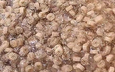 HDPE 材质 MBBR 填料在污水处理中的应用及与 MBR 膜的对比方案