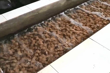 江苏某养殖企业废水处理项目